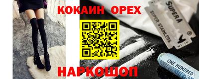 индика Сланцы