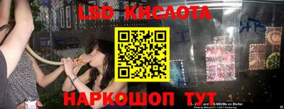индика Сланцы