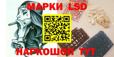 индика Сланцы