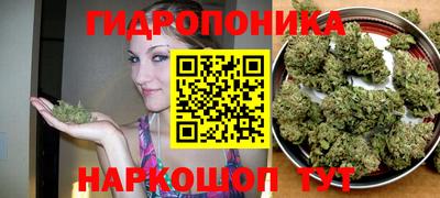 индика Сланцы
