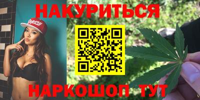индика Сланцы