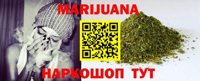 индика Сланцы