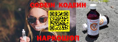 индика Сланцы