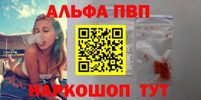индика Сланцы