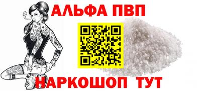 индика Сланцы