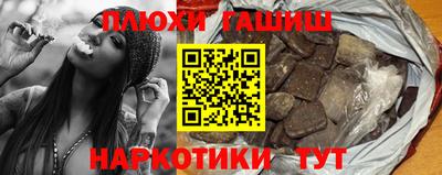 индика Сланцы