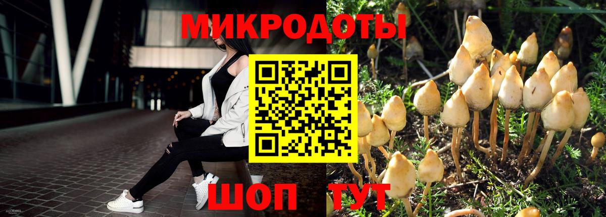 Псилоцибиновые грибы Psilocybine cubensis Новочебоксарск
